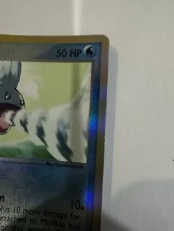 Pokemon EX Dragon 2003 Holo Foil Mudkip Card 65/97 Near Mint Condition - Image 4