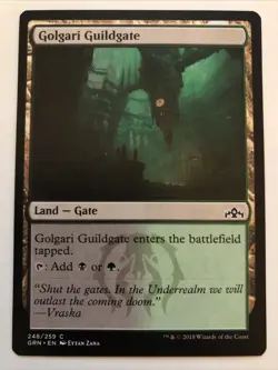 MTG Guilds of Ravnica Golgari Guildgate 248/259 NM - Image 1