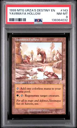1999 MTG URZA'S DESTINY #143 YAVIMAYA HOLLOW PSA 8 - Image 1