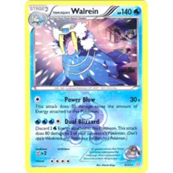 1x Team Aqua's Walrein - 5/34 - Holo Rare Lightly Played Pokemon XY-- Double Cri - Image 1