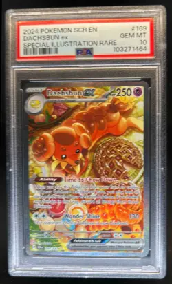 2024 Pokemon SV Stellar Crown SCR EN Dachsbun ex #169/142 PSA 10 - Image 1