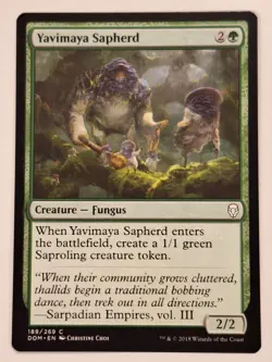 Yavimaya Sapherd - Dominaria - Magic the Gathering MTG Nice! - Image 1