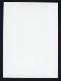 1999 Pokemon Insert Cards Catch Mew! - Image 2