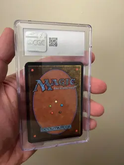 Magic The Gathering ALPHA Plains B (Trees) CGC Graded 7 NM - Image 2