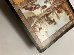 Yavimaya Hollow Magic The Gathering MTG Urza's Destiny - Image 3