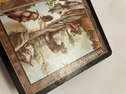 Yavimaya Hollow Magic The Gathering MTG Urza's Destiny - Image 4