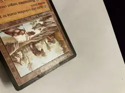 Yavimaya Hollow Magic The Gathering MTG Urza's Destiny - Image 5