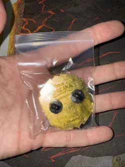 Disney Lorcana League Play Promo Emerald Pin - Fabled - Image 2