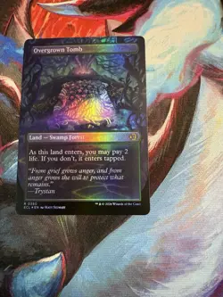 MTG - Overgrown Tomb (Borderless Foil) - Lorwyn Eclipsed 0350 - Image 2