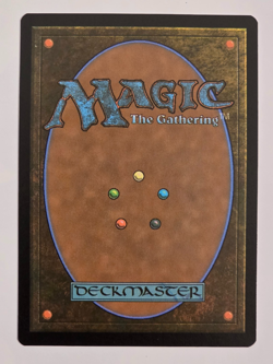 Overgrown Tomb - R0266 Regular - Lorwyn Eclipsed - Magic the Gathering - NM - Image 2
