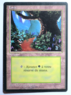 Foret - Forest Version 2 FBB/Foreign Black Bordered Mtg Magic - Image 1