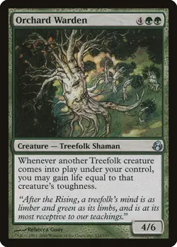 Morningtide Orchard Warden MTG Magic the Gathering NM - Image 1
