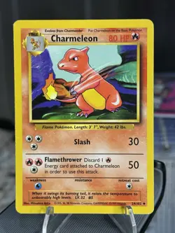 Pokemon TCG Charmeleon Base Set Shadowless 24/102 VTG mp WOTC 1999 - Image 1