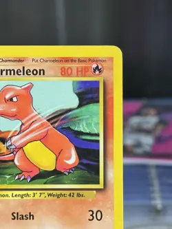 Pokemon TCG Charmeleon Base Set Shadowless 24/102 VTG mp WOTC 1999 - Image 3