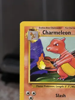 Pokemon TCG Charmeleon Base Set Shadowless 24/102 VTG mp WOTC 1999 - Image 4