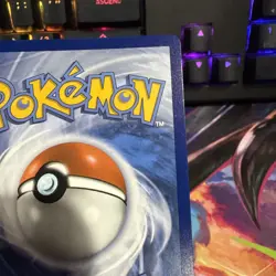 Oricorio ex 024 (NM) | Black Star Promo | Pokemon TCG - Image 4