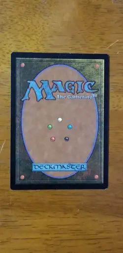 Naural Order #2 Visions MtG - Image 2