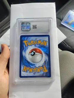 Pokemon TCG Feraligatr SVP 213 Black Star Promo Illustration Contest 2024 CGC 10 - Image 2