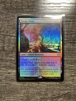 Steam Vents Foil - R 0267 - MTG Lorwyn Eclipsed - Image 1