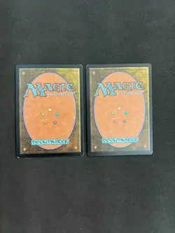 Spike Feeder x2 [Time Spiral Timeshifted] Magic MTG Cards LP - Image 2