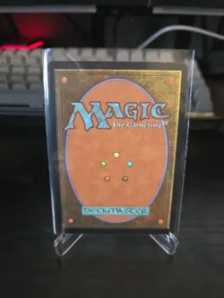 Plains (Chocobo Track Foil) Magic The Gathering Final Fantasy NM - Image 2