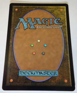 Hexing Squelcher (Showcase) Lorwyn Eclipsed Regular - Image 2