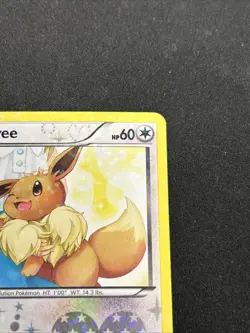 Pokemon TCG Eevee RC14/RC25. 2013 Radiant Collection Uncommon Card LP - Image 3