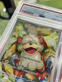 Pokemon Twilight Masquerade Illustration Rare Hisuian Growlithe #181/167 PSA 10 - Image 3