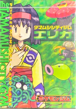[sell separately or set] Japanese Pokemon cards Gym Erika construction deck - Image 1