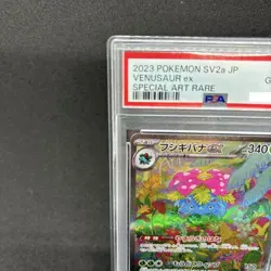 PSA 10 Venusaur ex SAR 200/165 sv2a Scarlet & Violet Pokemon Card 151 Japanese - Image 2