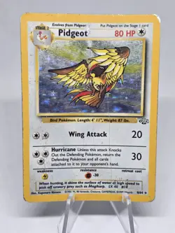 Pokemon TCG Pidgeot Jungle #8/64 Holo Rare Vintage WOTC 2nd Set Ever Unlimited. - Image 1