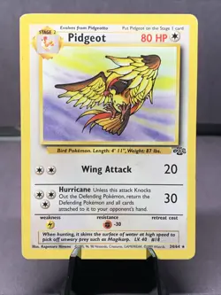 Pokemon TCG Pidgeot #24/64 Jungle Unlimited Non Holo Rare 1999 WOTC VTG MP - Image 1