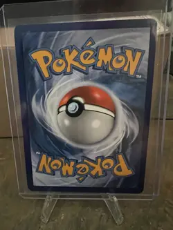 Pikachu SWSH020 SWSH: Sword & Shield Promo Cards Holo - Image 2