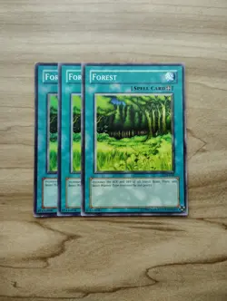 Yu-Gi-Oh! - Forest 3X - Full Playset - Image 1