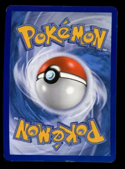 2016 POKEMON XY BLACK STAR PROMO COLLECTOR CHEST M GENGAR EX #XY166 HOLO HP - Image 2