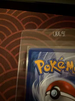 2016 Pokemon XY Black Star Promo Collector Chest #XY166 M Gengar EX-Holo PERFECT - Image 5