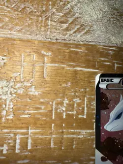 Pokemon TCG Reshiram Full Art RC22/RC25 Legendary Treasures Radiant Collection - Image 3
