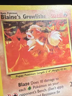 Blaines Blaine’s Growlithe 62/132 - Gym Heroes - Pokemon Card TCG 2000 - Image 4