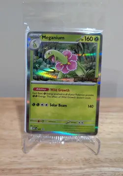 Pokemon Mega Evolutions Staff Promos Set of 4 SEALED in Pack - Image 1