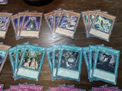 Yugioh Reptile/Ogdoadic Deck Core Of 47 Cards! Evil Dragon, King Of Feral Imps - Image 3