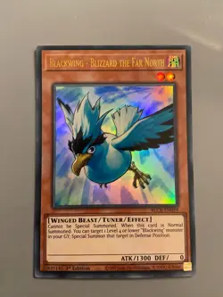 Blackwing - Blizzard the Far North - 1st Edition Ultra Rare BLCR-EN059 Yugioh - Image 1