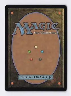 The Cabbage Merchant (Extended Art Foil) MTG Avatar Last Airbender Eternal-Legal - Image 2