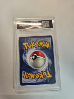 Pokemon Jungle Set 1999 Pidgeot 08/64 Holo PSA 8 NM-M Vintage WOTC - Image 2