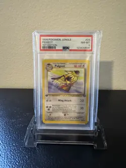 1999 Pokemon Jungle 1st Edition PIDGEOT Non Holo #24/64 PSA 8 NM-MT - Image 1
