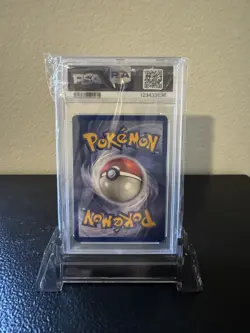 1999 Pokemon Jungle 1st Edition PIDGEOT Non Holo #24/64 PSA 8 NM-MT - Image 2