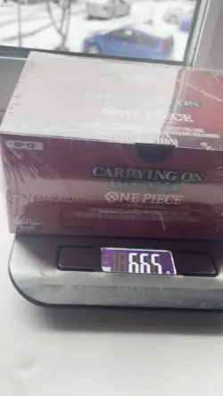 HEAVY 🏋 One Piece Carrying On His Will Booster Box OP 13. New And Sealed - Image 2