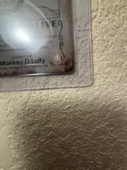 Monkey.D.Luffy (118) (Wanted Poster) OP13-118 Carrying On His Will Foil - Image 4
