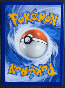 Tornadus - Holo Promo #210 SV: Scarlet & Violet Promo Cards NM - Image 2