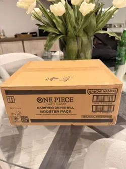One Piece TCG: Carrying On His Will OP-13 Booster Box Case of x12 Factory Sealed - Image 4
