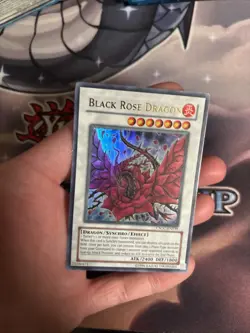 (MC) Yugioh Black Rose Dragon CSOC-EN039 Ultra Rare Unlimited Edition VLP - Image 3